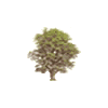 icon arbores mini