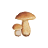 icon fungi2 mini